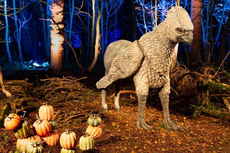 Harry Potter A Forbidden Forest Experience Singapore Hippogriff new Singapore attractions 2024