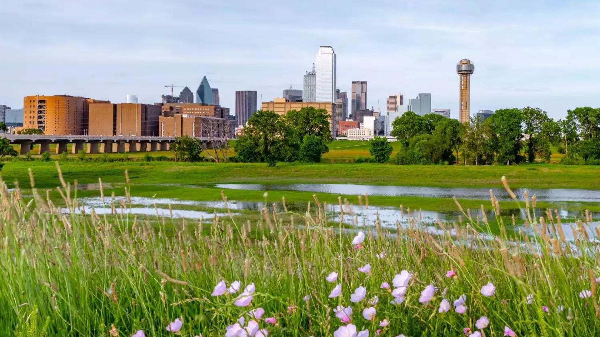 best times to visit dallas