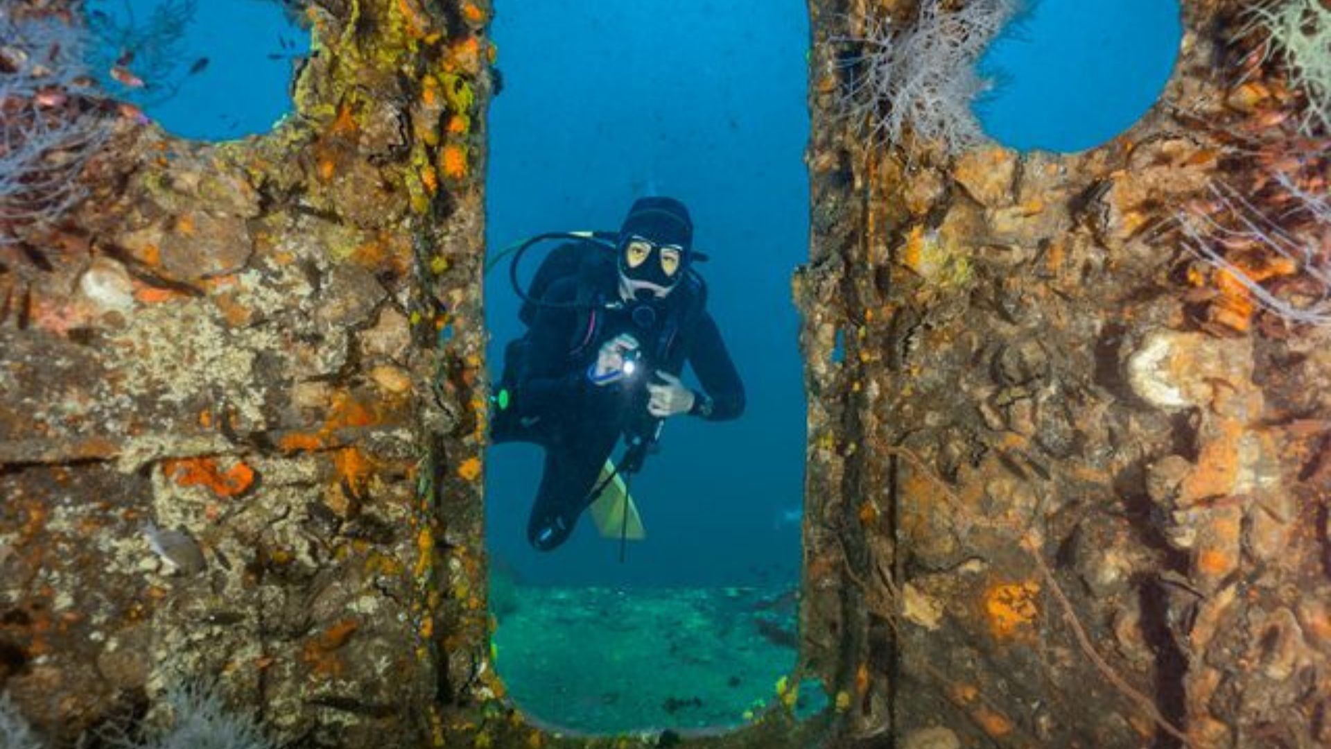 Underwater Diver 
