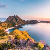 Plataran Komodo Resort & Spa: A Tranquil Oasis Offering Access to Komodo National Park and Flores Island