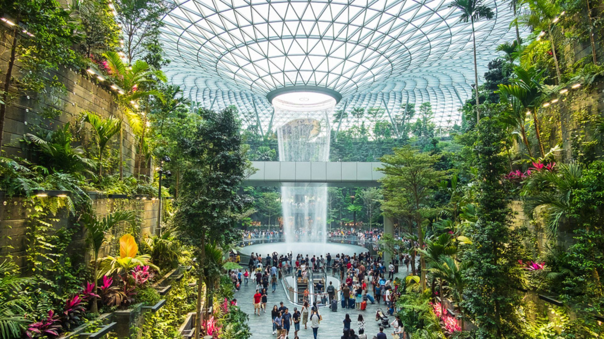 things to do at singapore airport