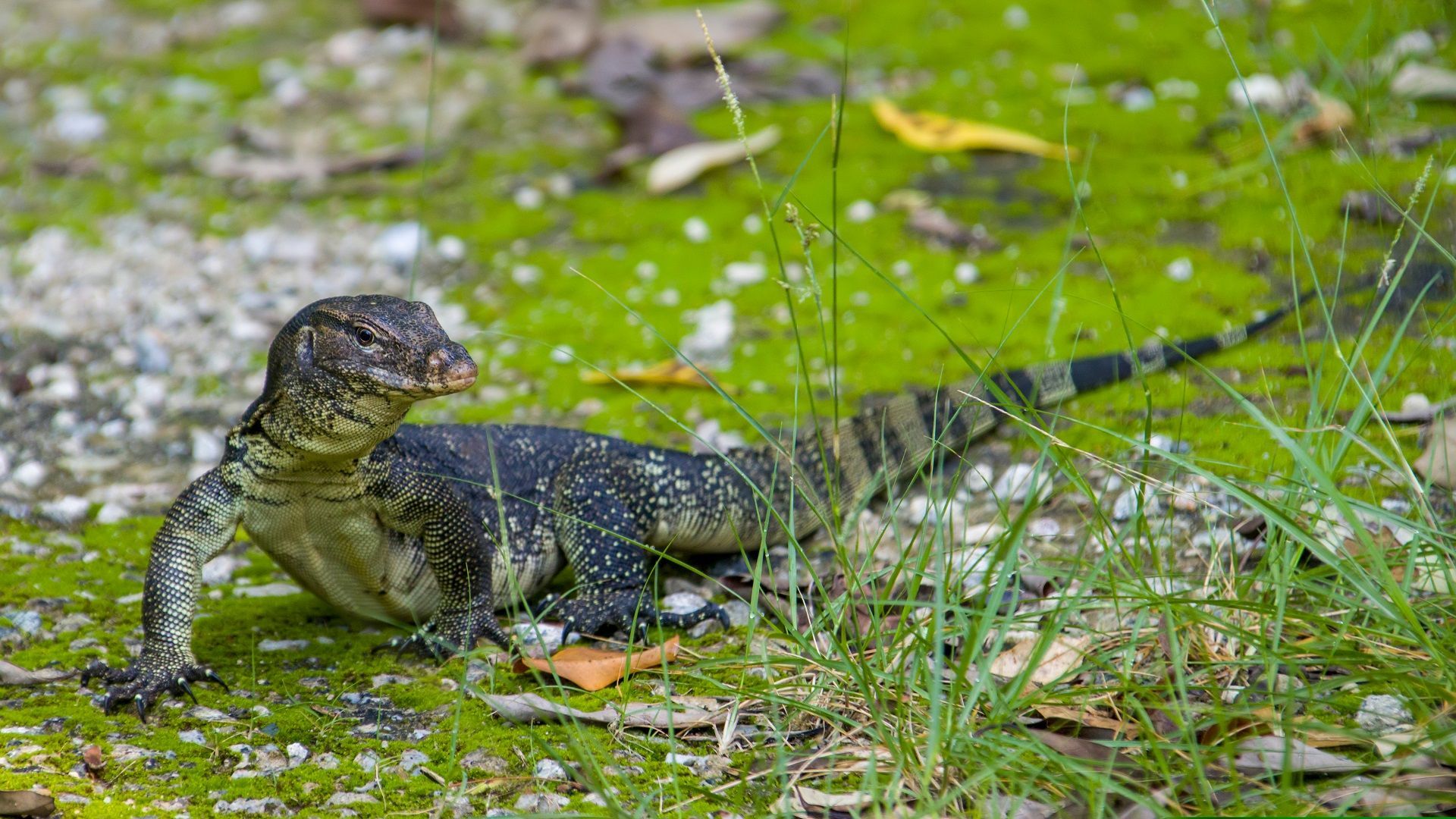 Study Reveals The World's Best Wildlife Photography Destinations