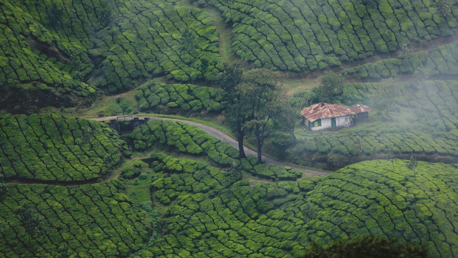 Kerala itinerary for tourist attractions