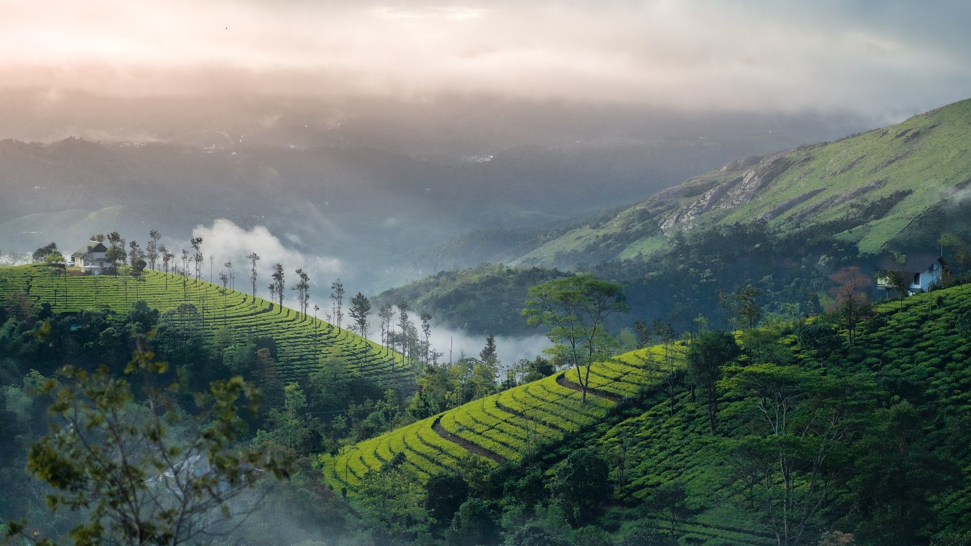 Kerala Itinerary 7-10 Days: First-Timer Guide To Tourist Attractions 2024