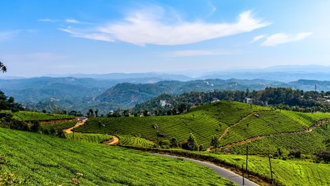 Exploring God’s Own Country: Your Essential 7+3-Day Kerala Itinerary