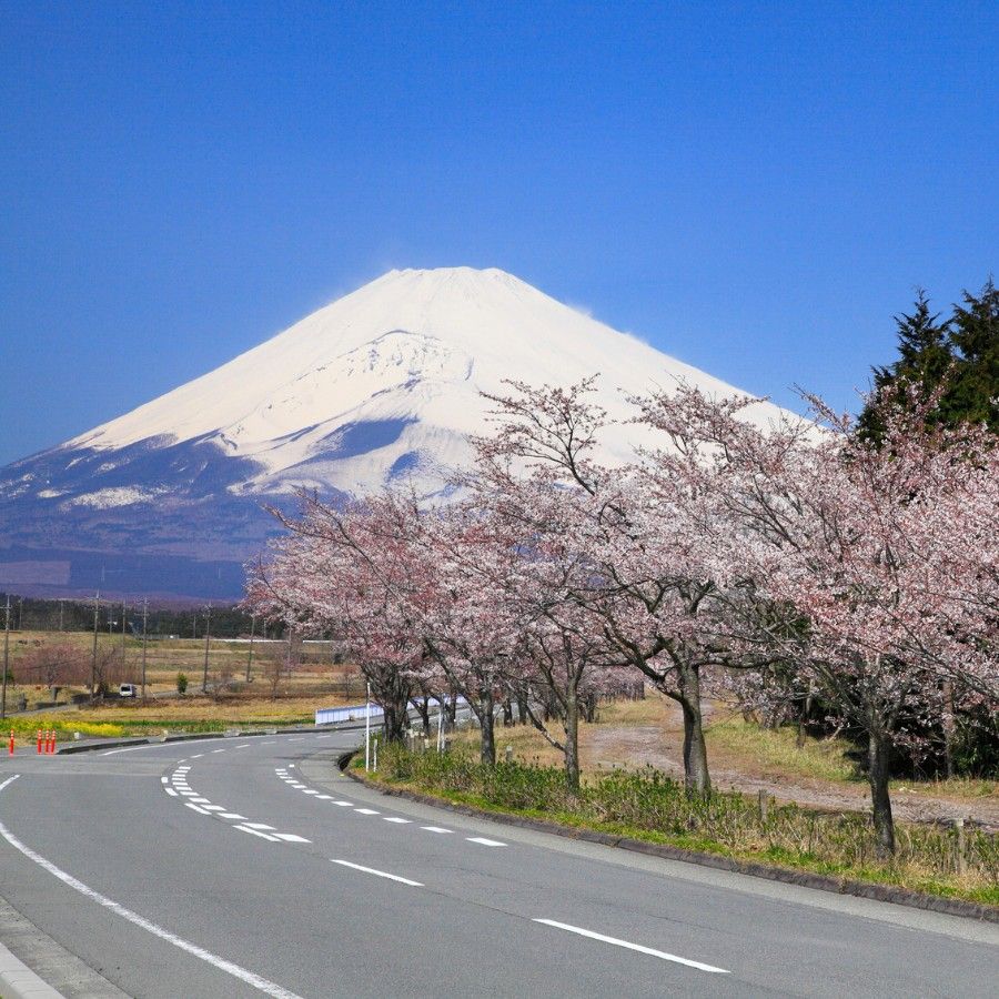 A Japan Road Trip in the Stunning Izu Peninsula, with Onsen, Izakaya, and Mount Fuji Views Galore
