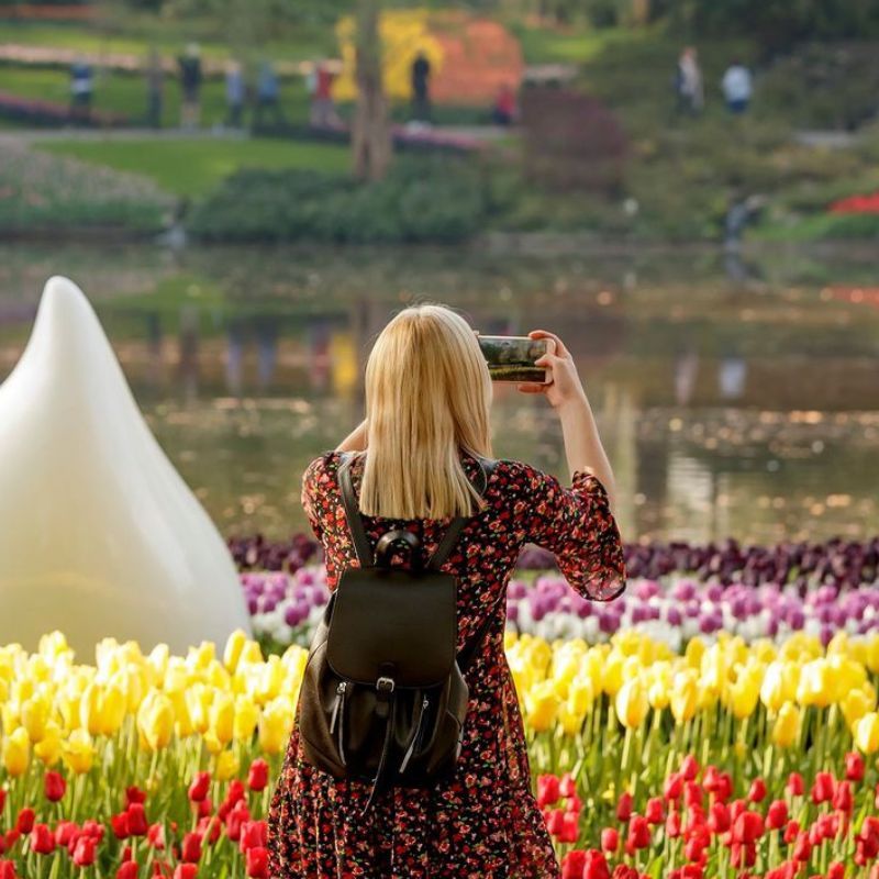 Experience The Netherlands' Spring Splendour At Keukenhof's Magical Tulip Gardens