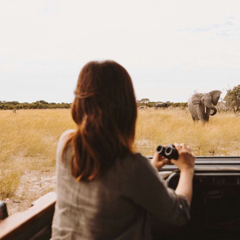 This 7-Night Safari In Botswana Is All About Wildlife, Water, And Sustainability
