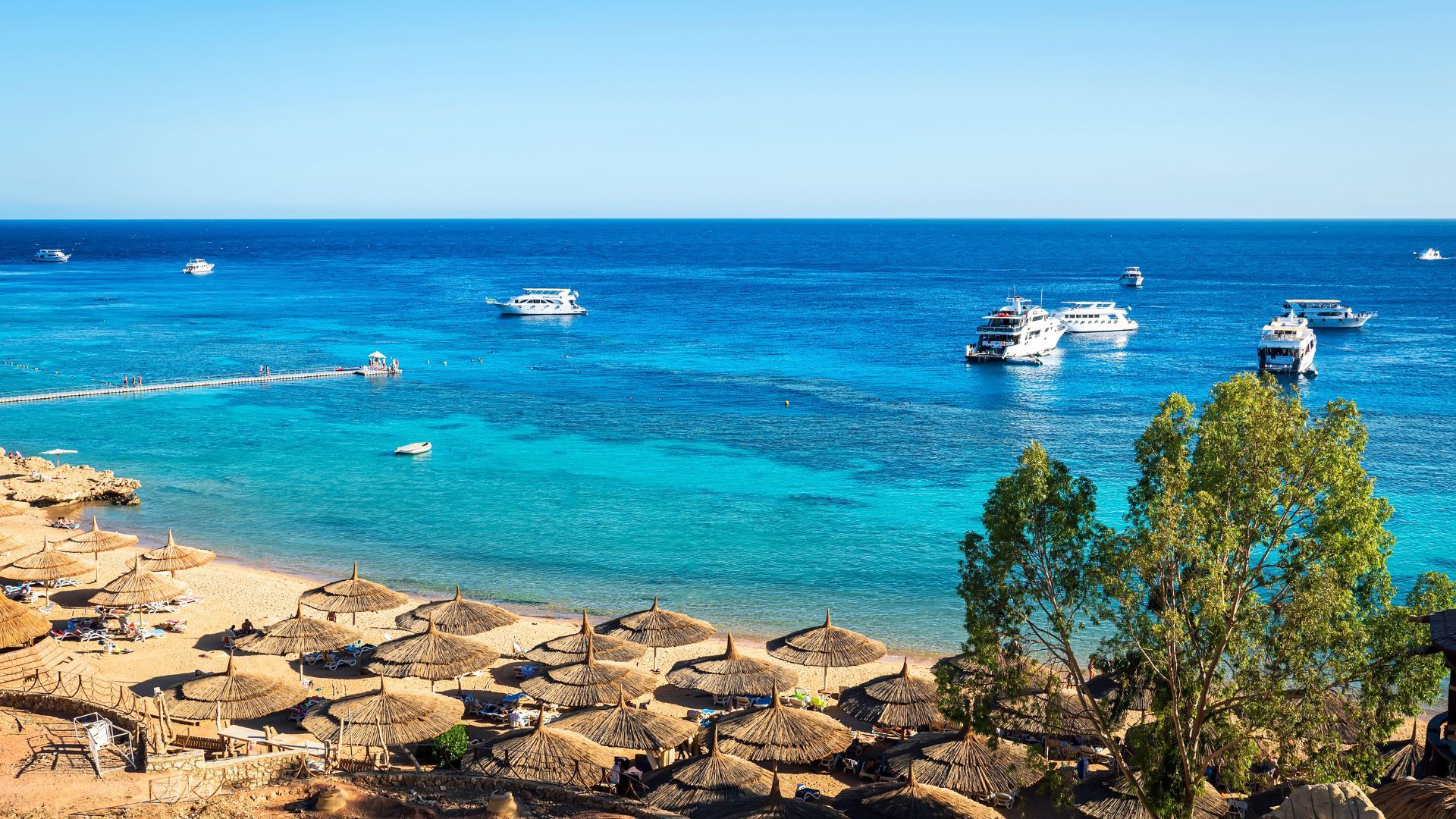 10 Days in Egypt: A European Traveller's Dream Itinerary of Must-See Attractions - Day 9-10: Red Sea Relaxation