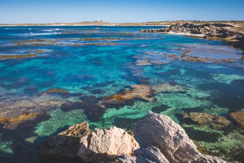 24 Hour Guide: Must-Do Activities on Rottnest Island, Australia