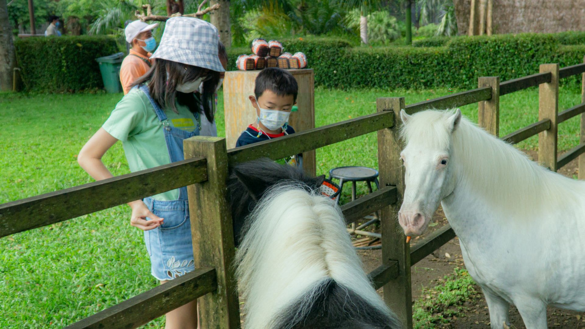 Bali Zoo: Tickets, Attractions And Everything Else You Need To Know