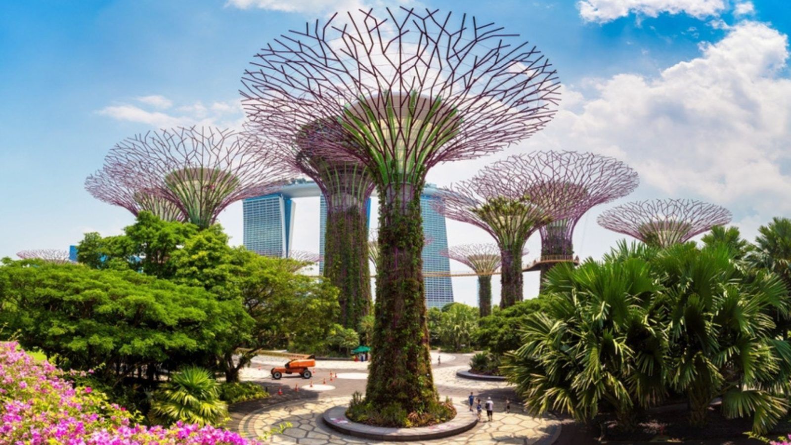 Gardens By The Bay World's Most Photographed Garden On Instagram