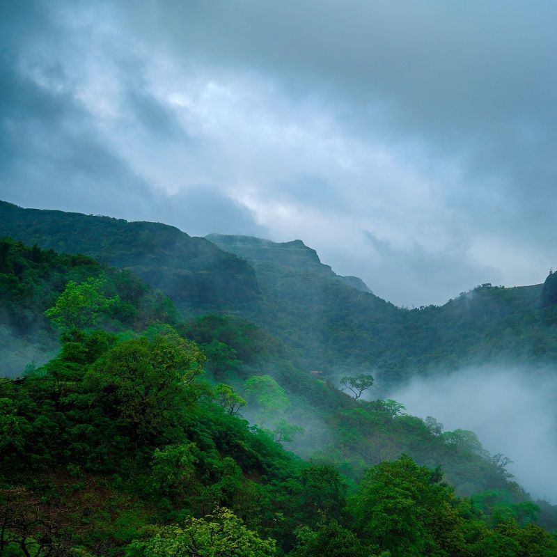 August Getaways – Best Places To Visit As The Monsoon Recedes In India