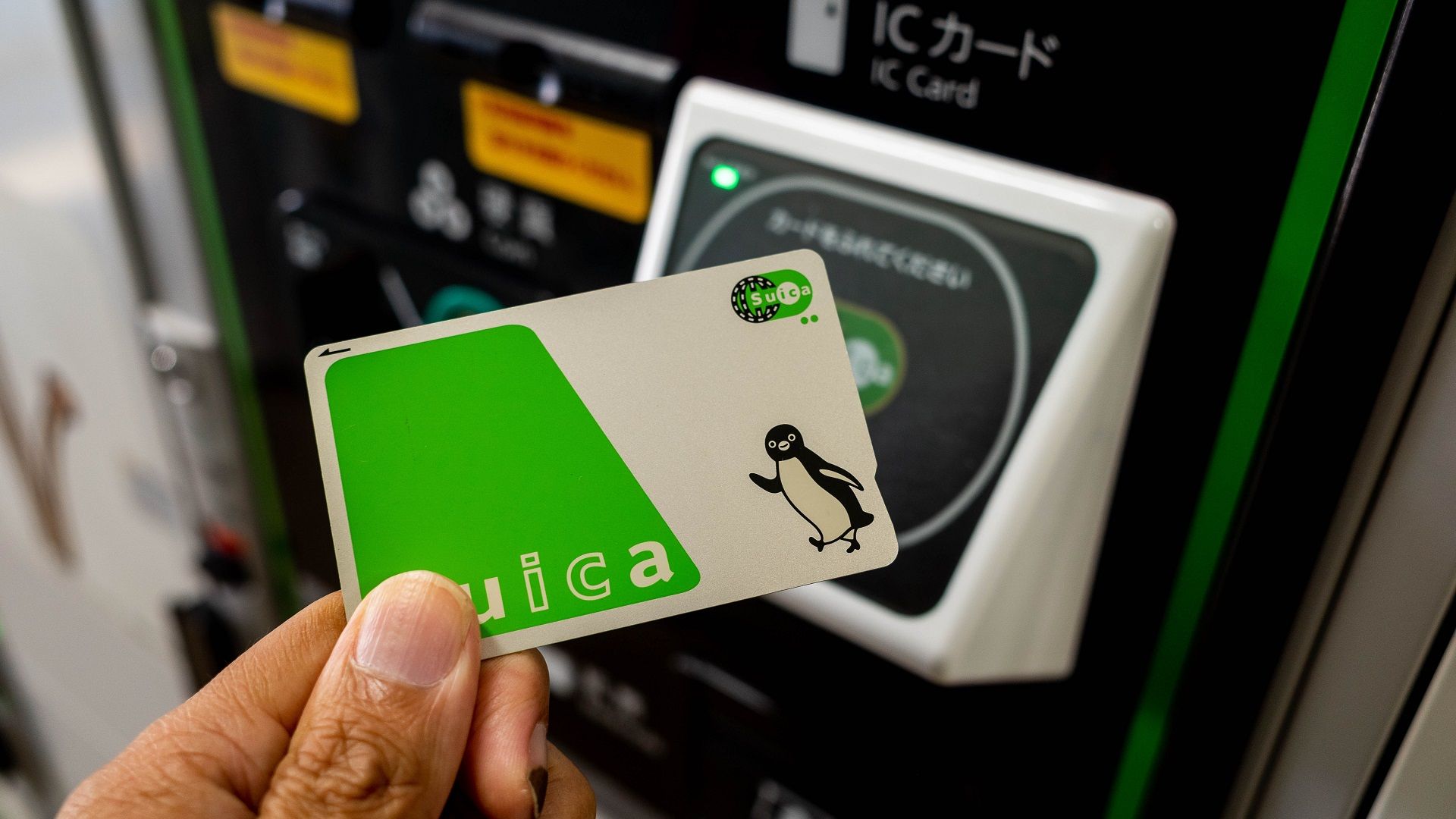 Suica Cards Japan Set To Return: Enjoy Cashless Convenience