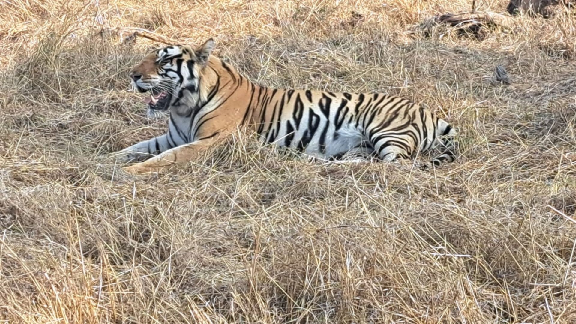 Panna National Park 