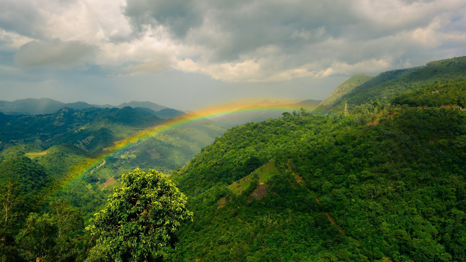 Araku Valley 