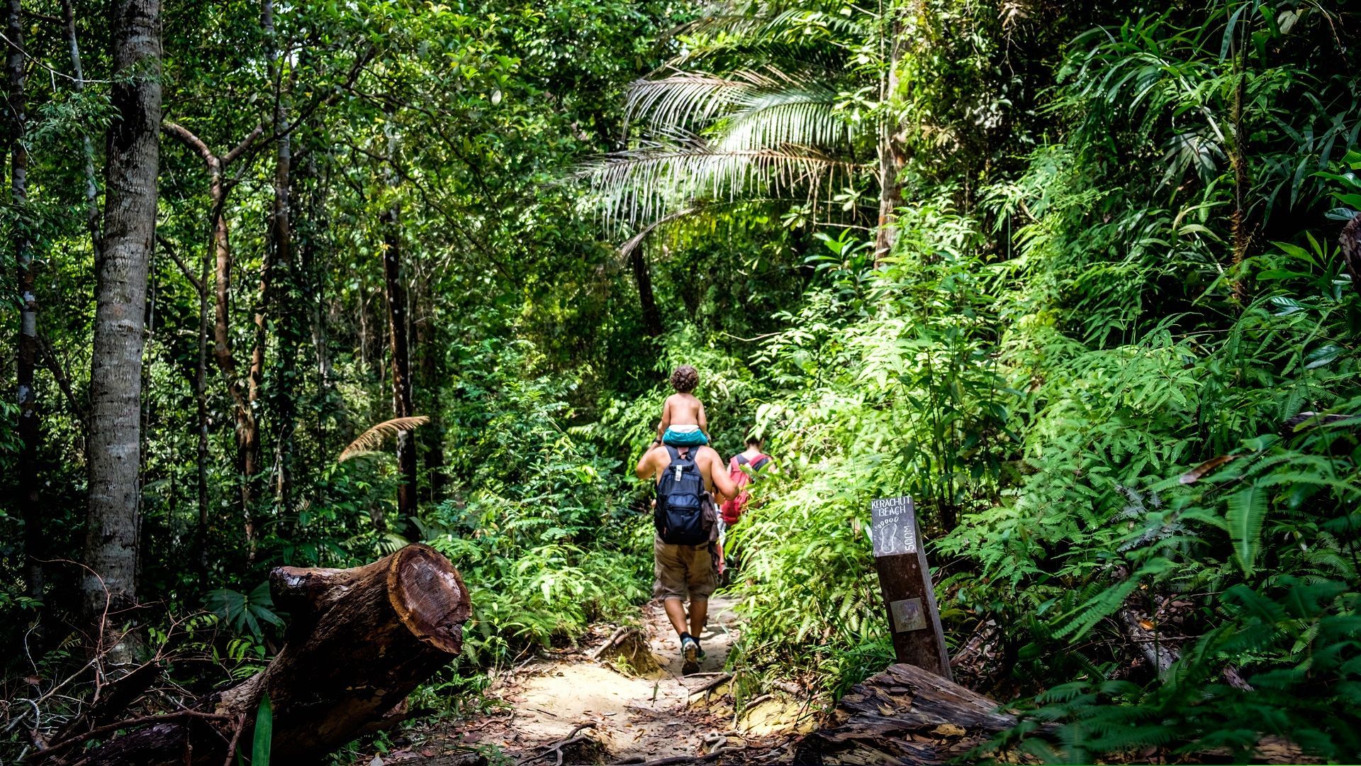 National Parks in Malaysia To Explore - Penang National Park Penang All Eye See Shutterstock
