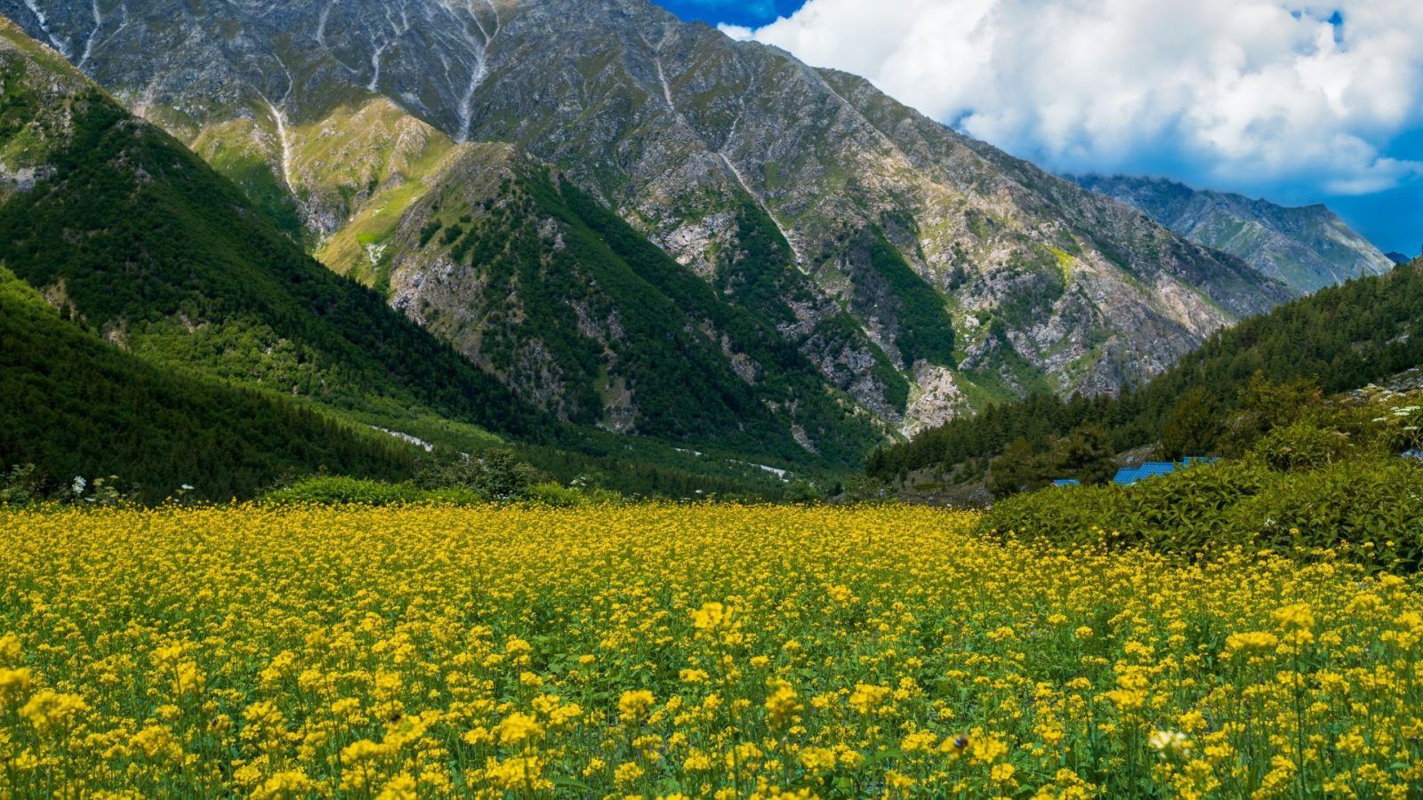 Chitkul Village: This Himalayan Hidden Gem Is The