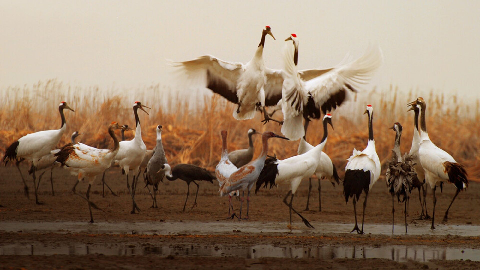 UNESCO World Heritage Sites in China