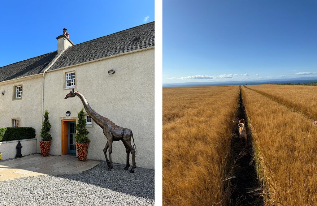 Glenmorangie House, Whisky Tour