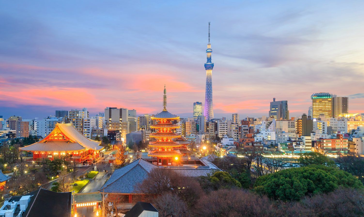 Toyko Features Journey Through Tokyo's Evening Hours Where Sacred Traditions Meet ...