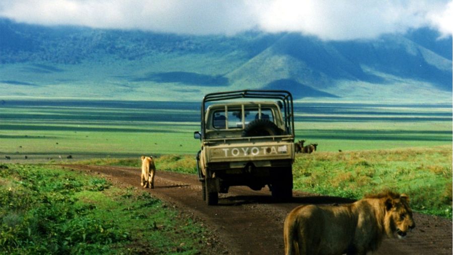 Best Places To Travel To In 2025: Top Picks For The World Wanderers