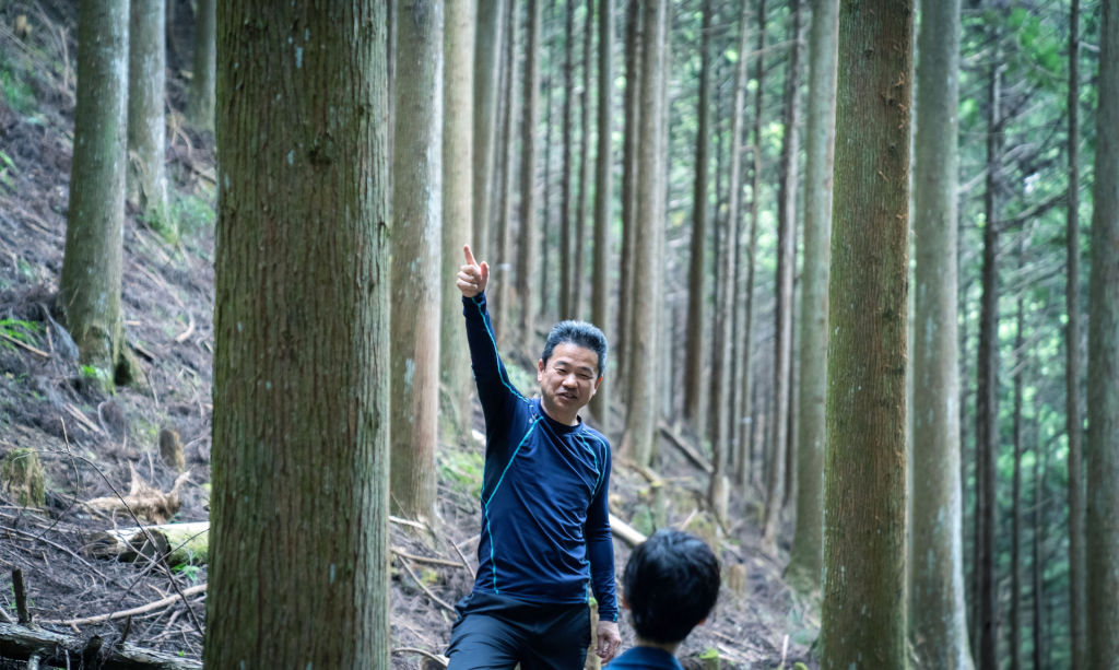 In a Japanese Forest, Cedar Sake and Tradition Age Together