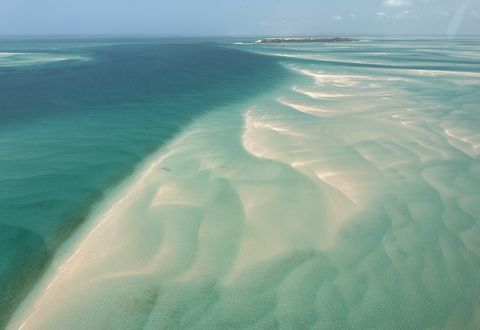Need More Flamingoes in Your Life? Head to Mozambique