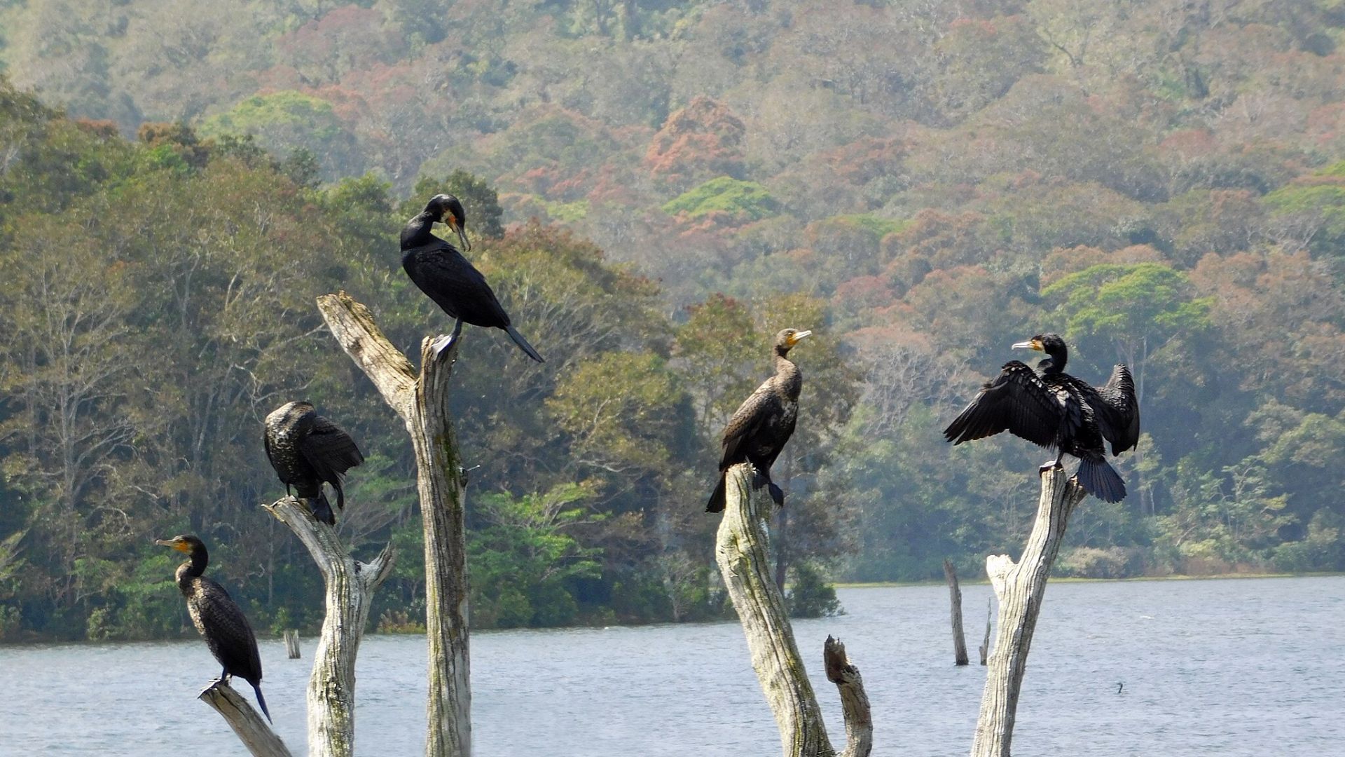 Best places to visit in India in February