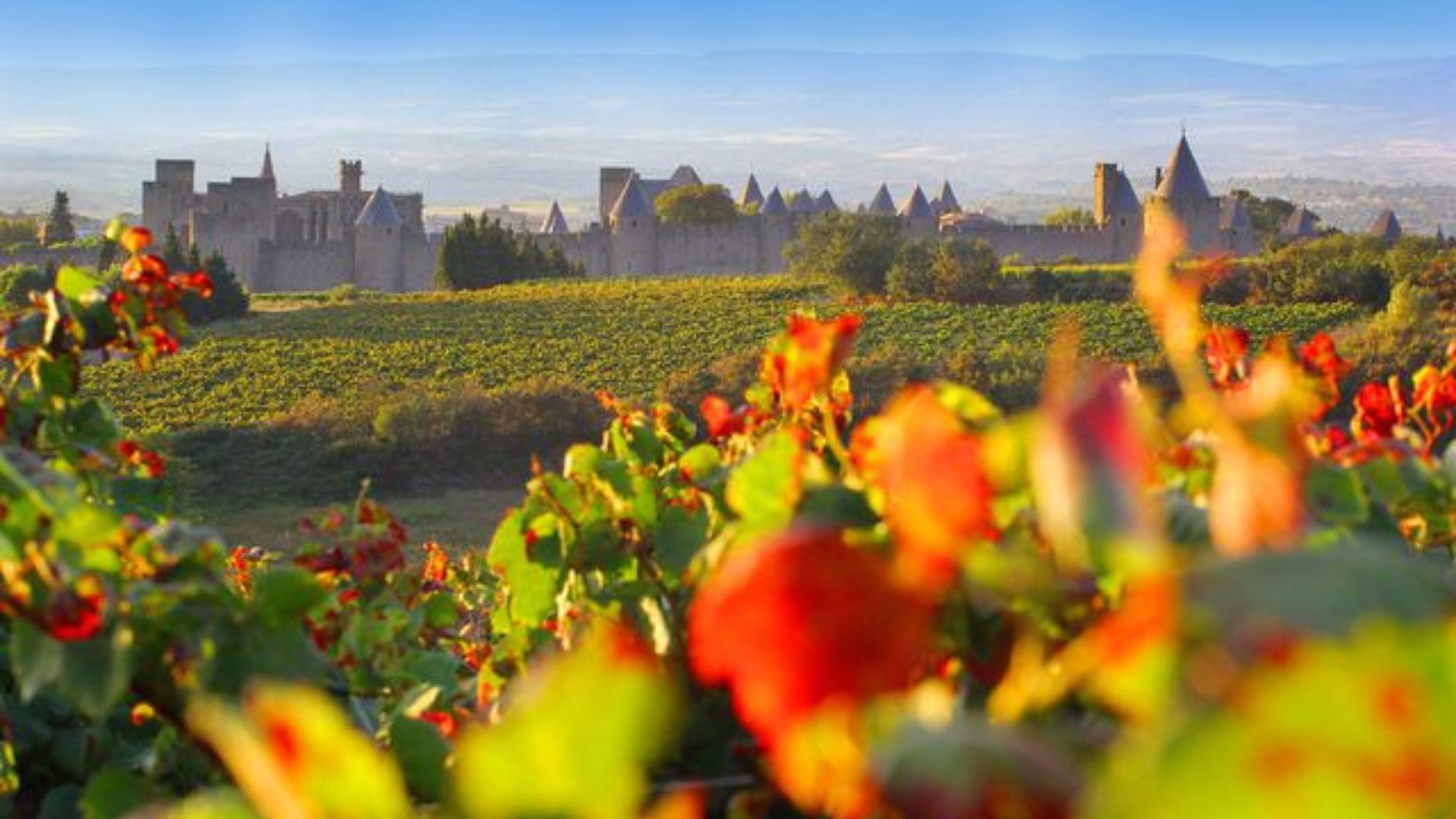 Carcassonne