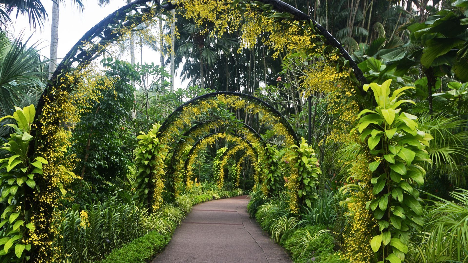 Singapore Botanic Gardens All The Fun Attractions To Branch Out On