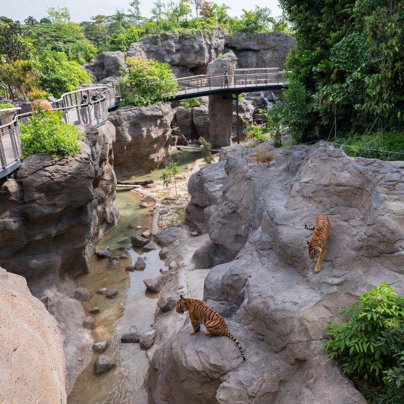 Chasing Smoke and Scenery: Hiking Asia's Active Volcanoes