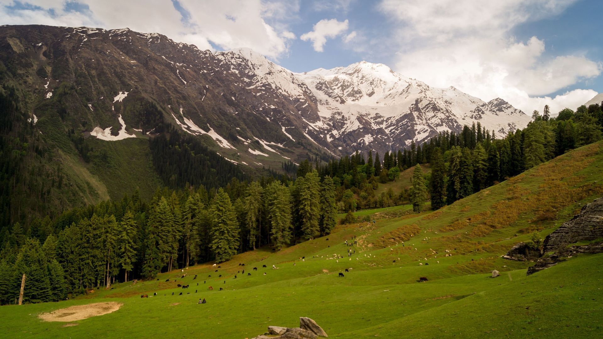 The Great Himalayan National Park | Image credit: Suresh Karia, CC BY-SA 4.0, via Wikimedia Commons