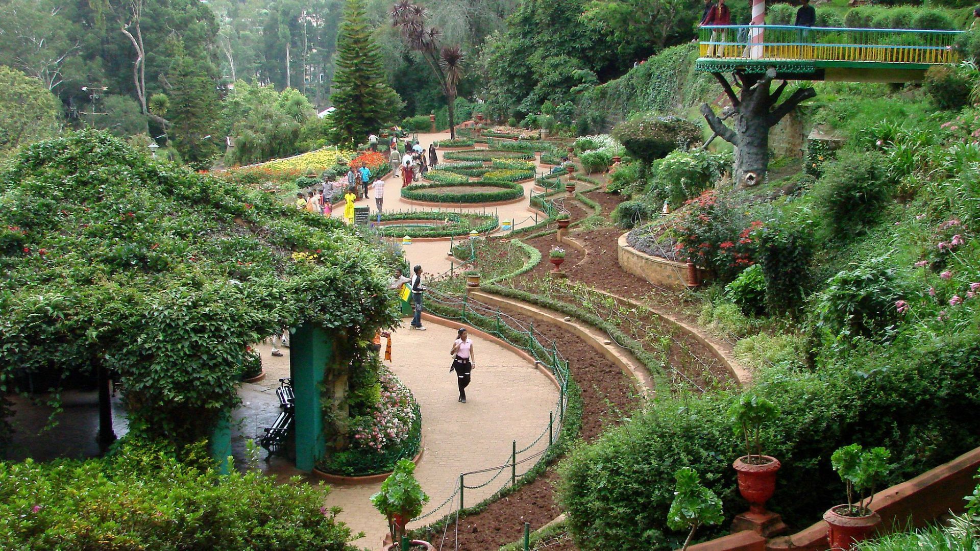 Government Botanical Garden, Ooty | Image credit: Adam Jones Adam63, CC BY-SA 3.0, via Wikimedia Commons