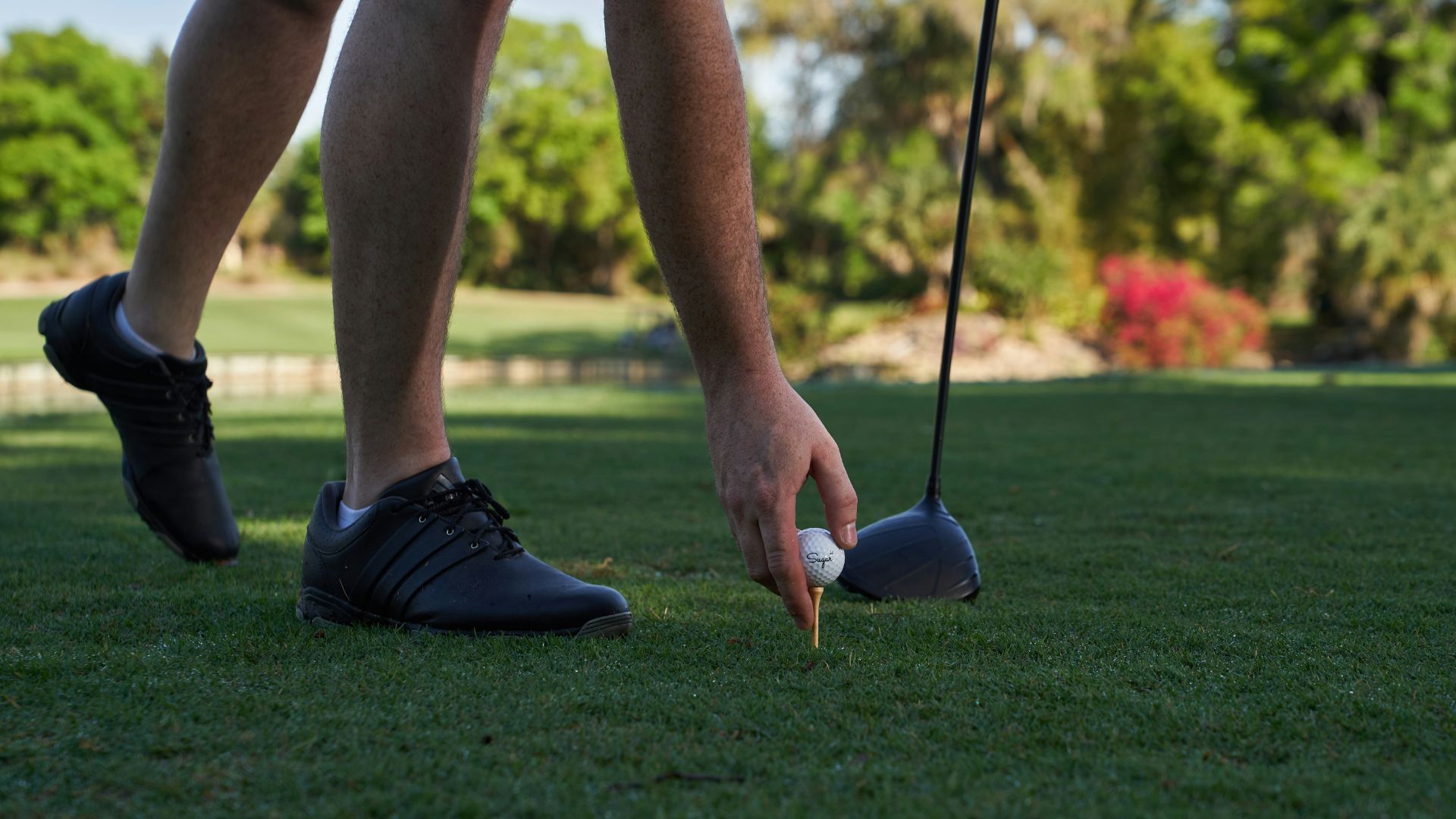 Golf Resorts in India So Good, You’ll Plan A Trip Just For Them: Book Now! Golf Resorts in India So Good, You’ll Plan A Trip Just For Them: Book Now!