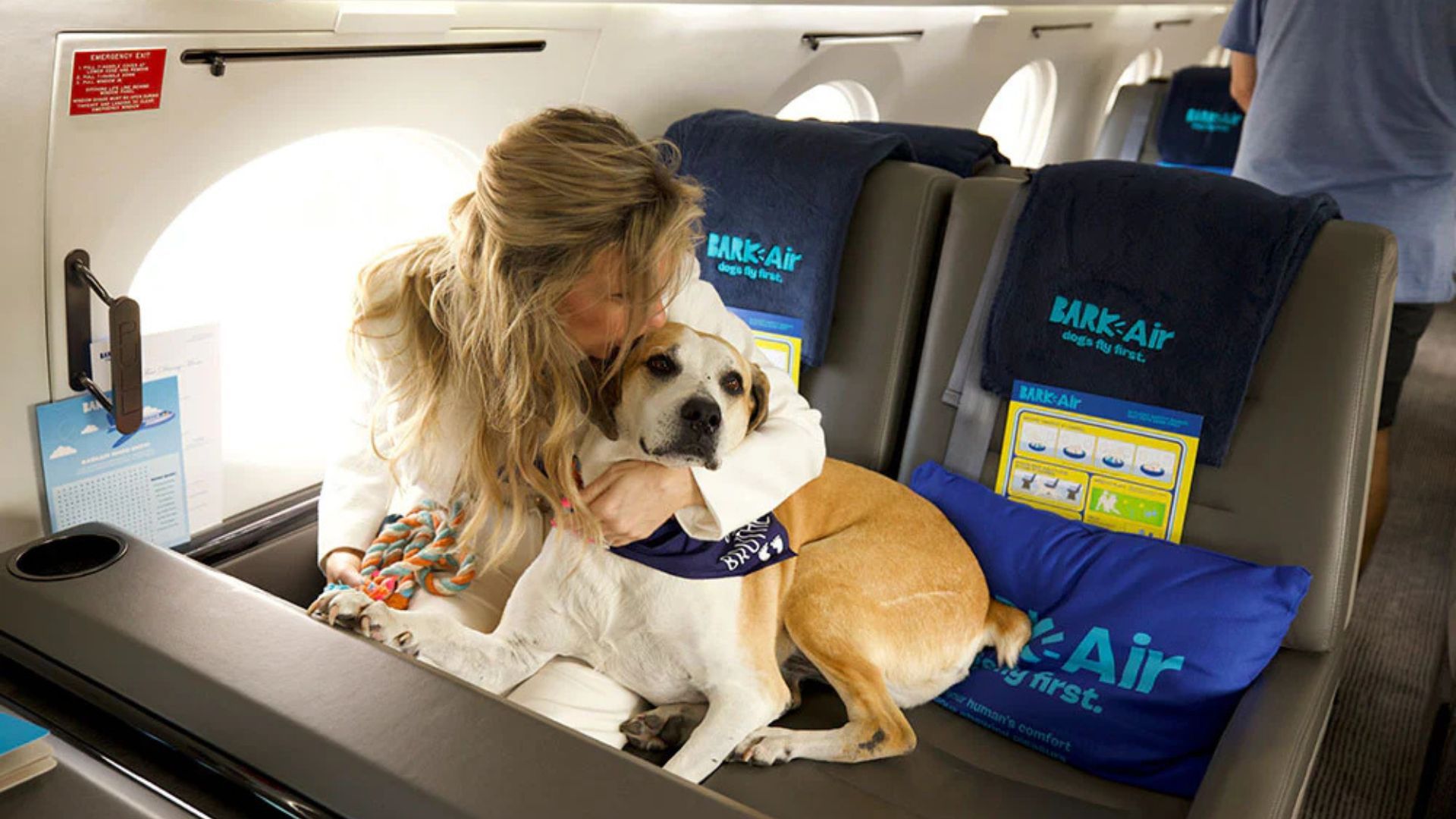 Traveling to Europe With Dog: Essential Tips for a Smooth Journey