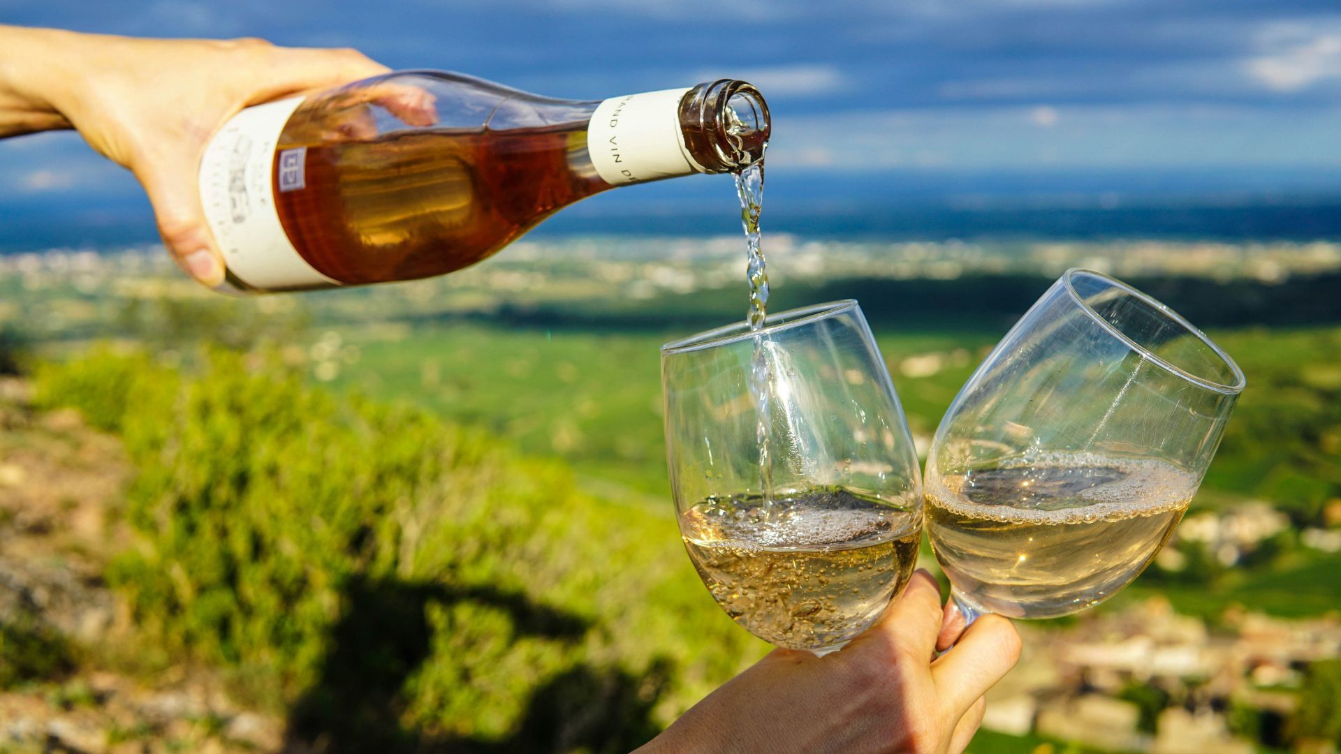 Springield Wines Pouring Sparkling Wines: Taste, Pair, & Travel To The World’s Best Vineyards