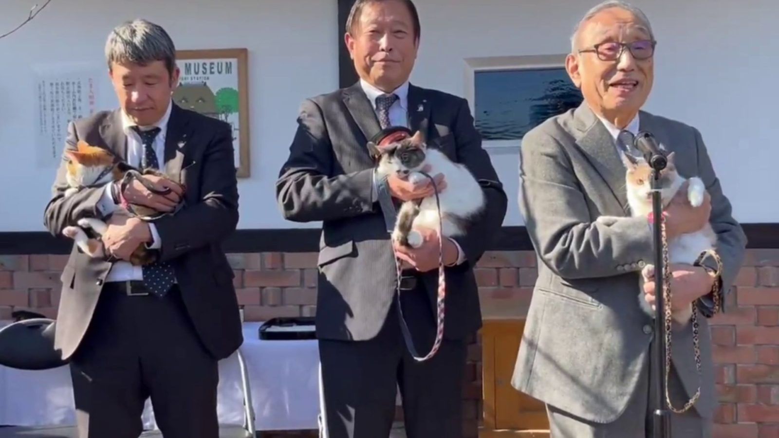 Japan Appoints A Calico Cat As The New Stationmaster Of Kishi Station