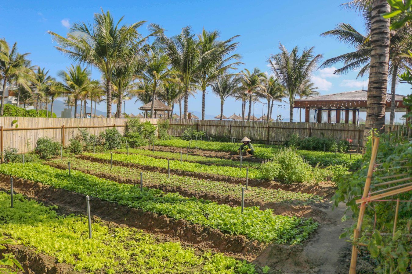 Dig Into Sustainable Dining at These Farm-to-table Stays in Southeast Asia