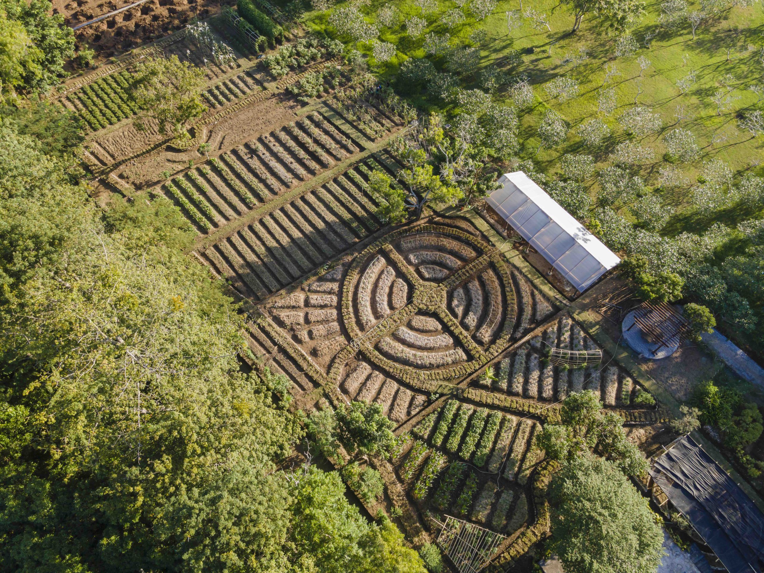 Dig Into Sustainable Dining at These Farm-to-table Stays in Southeast Asia