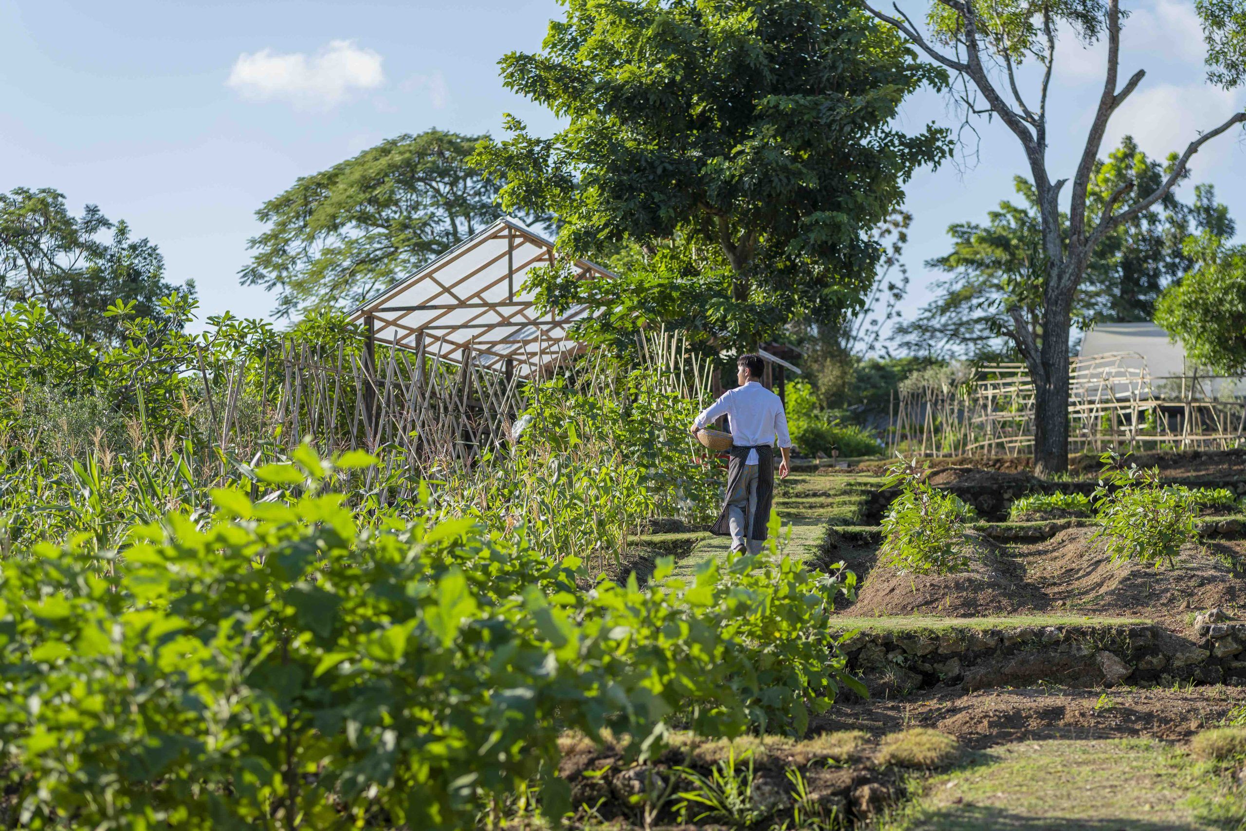 Dig Into Sustainable Dining at These Farm-to-table Stays in Southeast Asia