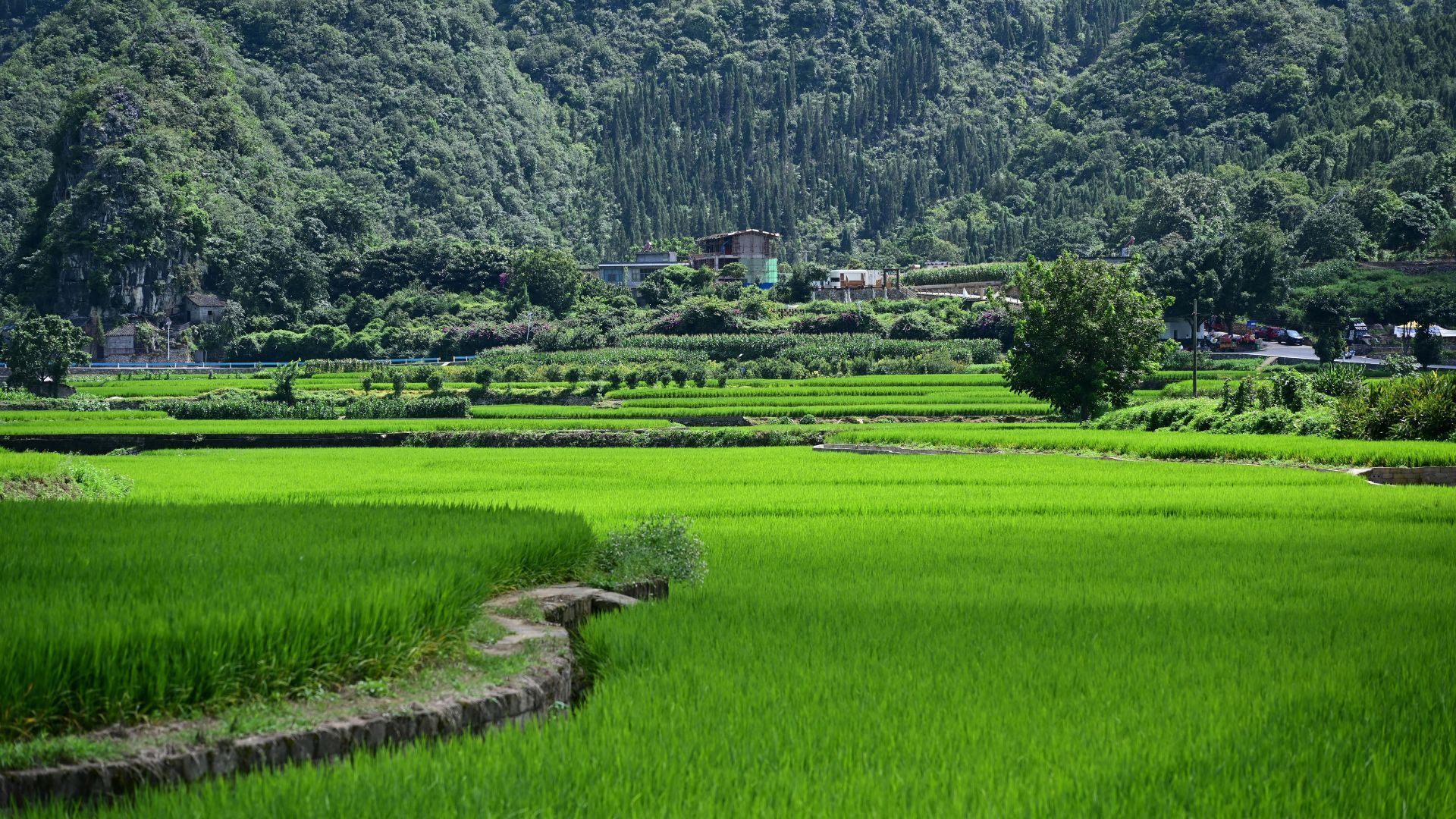 'Pursuit Of Jade': A Visual Odyssey Across The Stunning Locales Of China