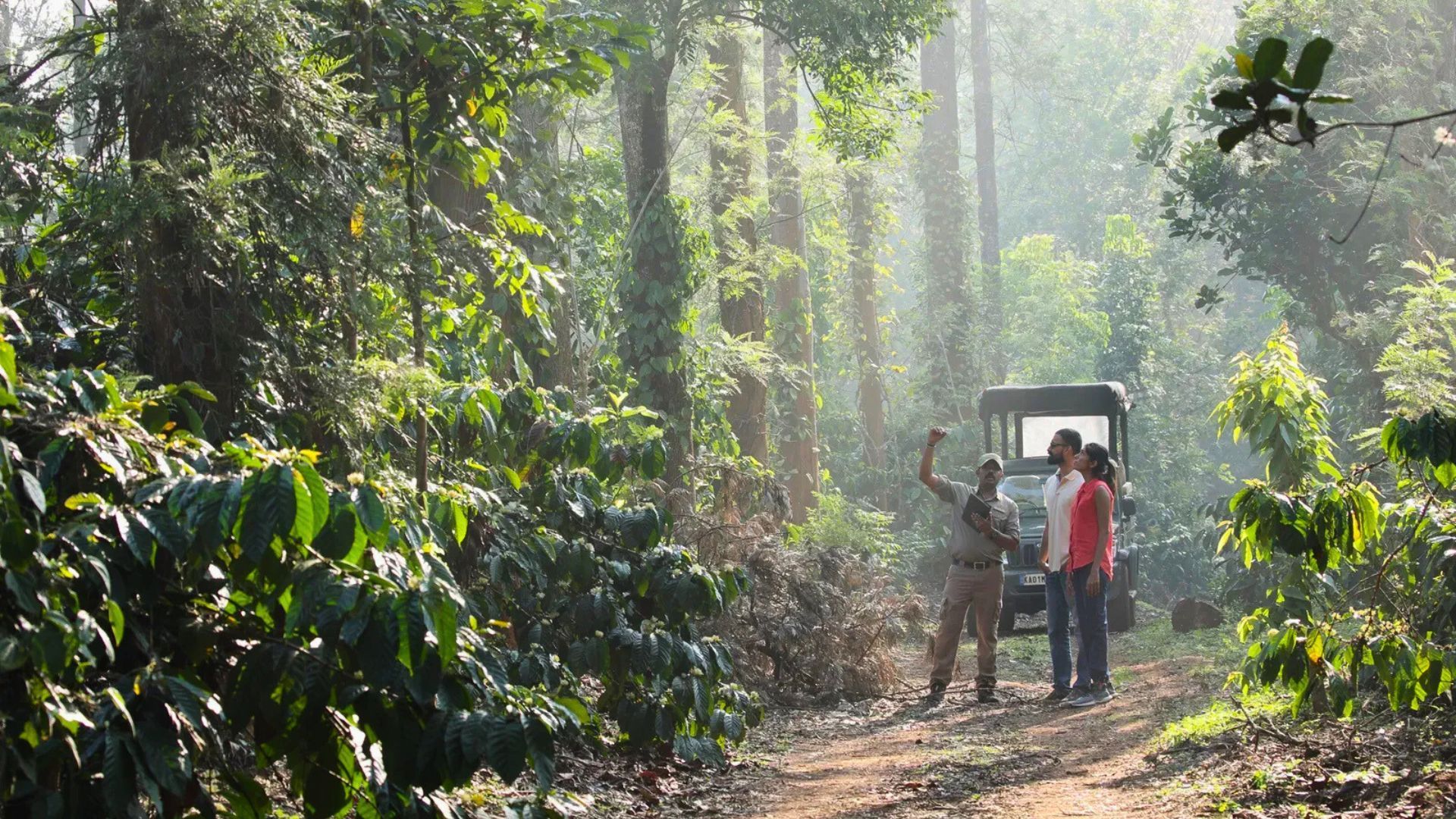 Java Hills Coorg Coffee Resorts You Must Book For A Perfect Brew Getaway