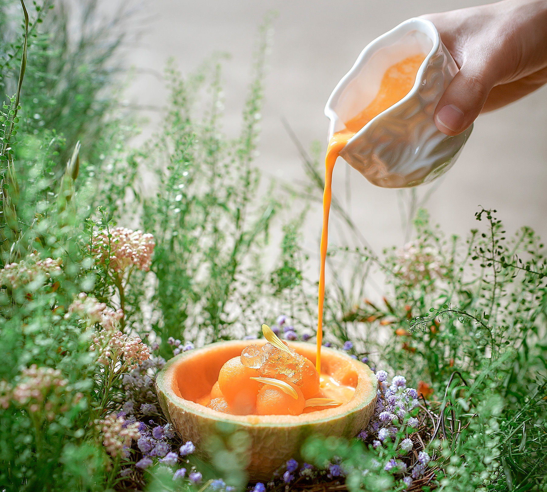 Culinary Experiences to Impress Every Occasion