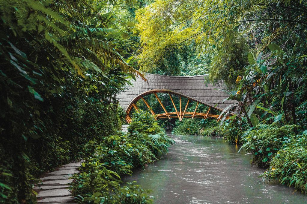 Bambu Indah