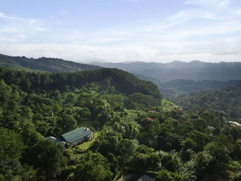 For a Real Taste of Kandy, Venture Off the Tea Trails