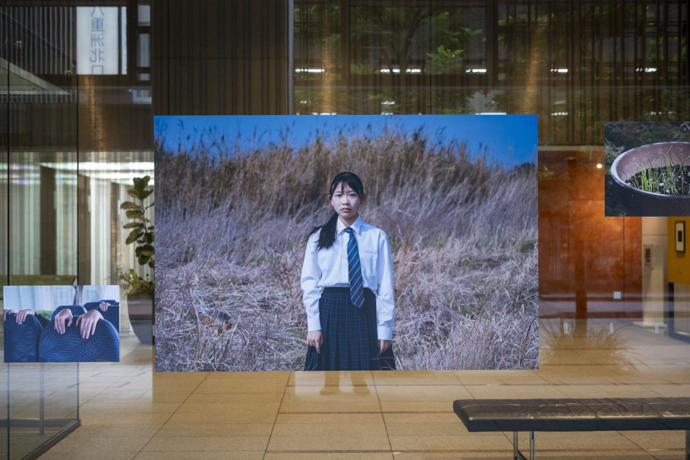 Check Out the Free T3 Photography Fair in Tokyo This October
