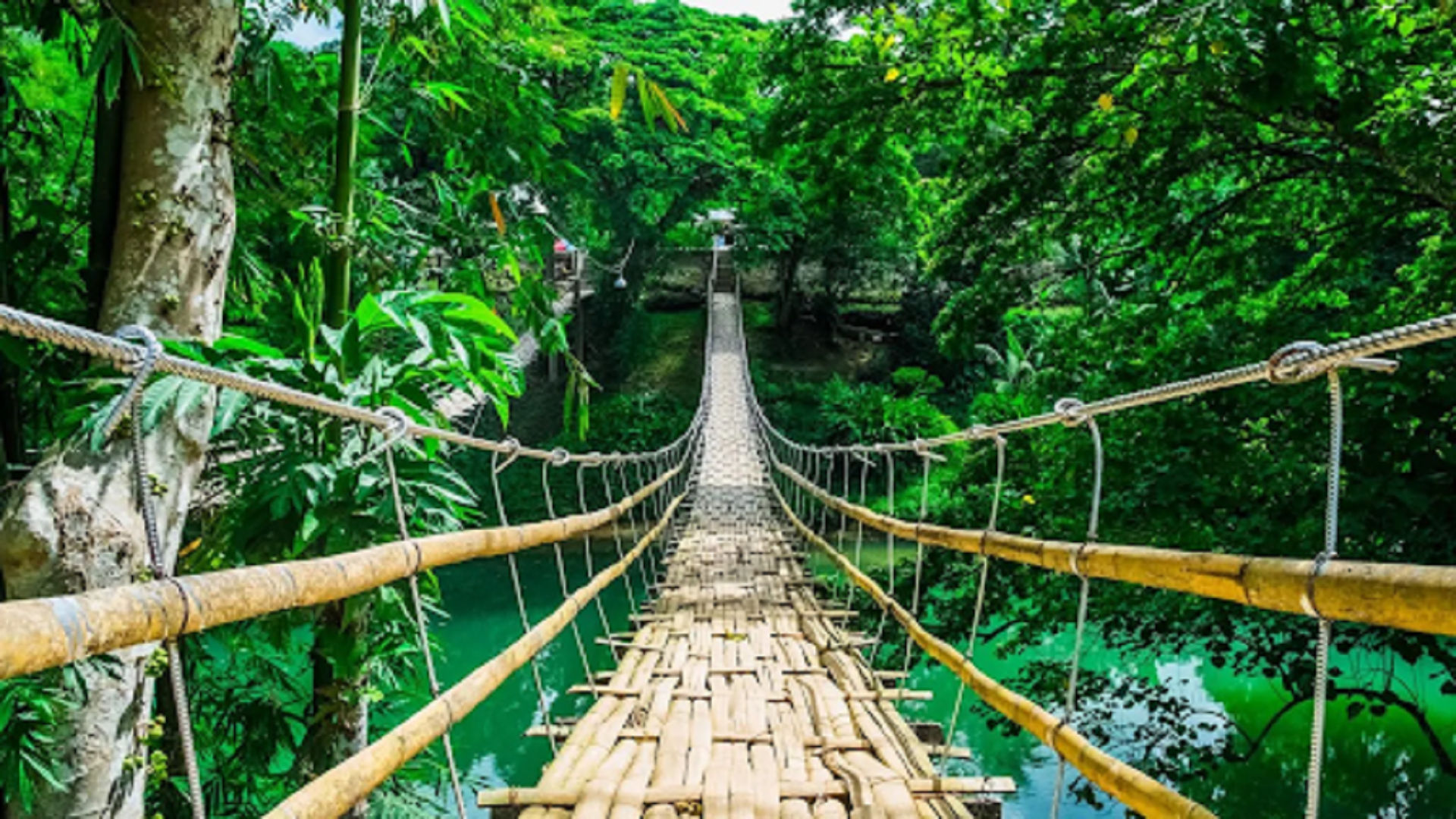 Hanging Bridge Philippines
