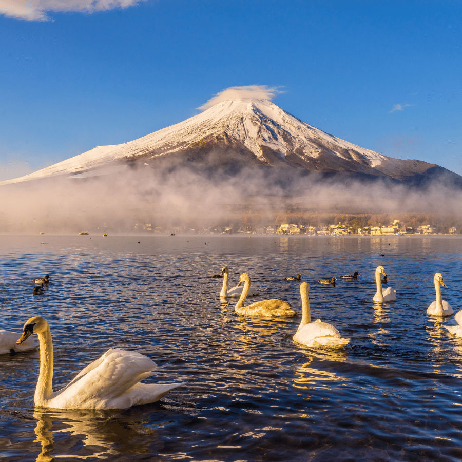 Why You Should Plan Your Japan Travels Around Its 72 Microseasons