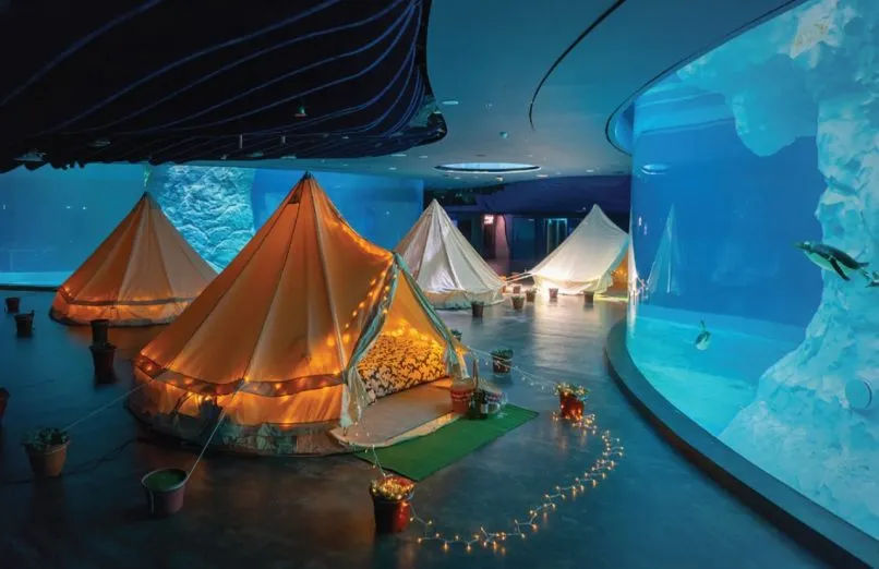 Things to do in Singapore
